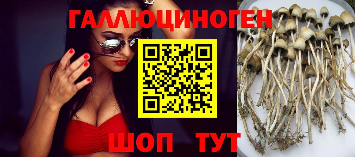 Галлюциногенные грибы Magic Shrooms Можга