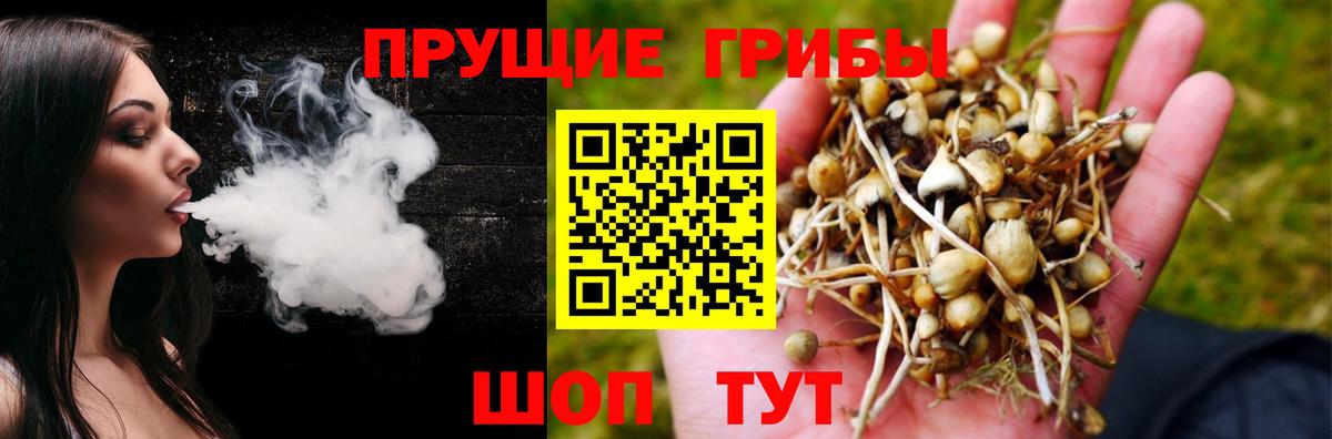 Псилоцибиновые грибы Psilocybe  Вход с VPN  Галлюциногенные грибы GOLDEN TEACHER  Можга 